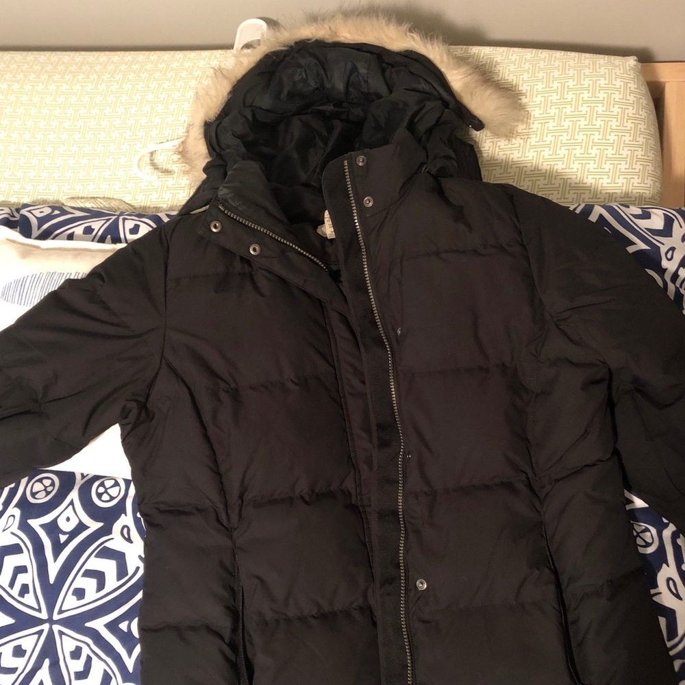 LL Bean Down Coat